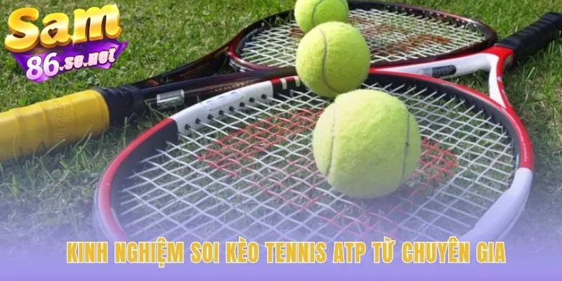Cược tennis ATP đòi hỏi phân tích khoa học thay vì may mắn