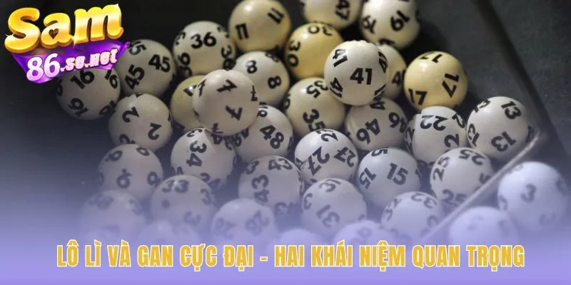 Chinh phục lô gan dài hạn qua hai khái niệm chu kỳ quan trọng